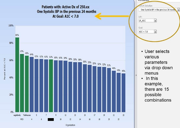 Example of the Diabetes Care Performance Report